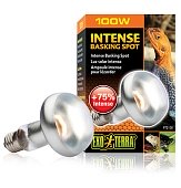 Лампа для баскинга Intense basking spot 100 Вт 80mm. PT2138 фото, цены, купить