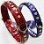 Ошейник Collar Brilliance 20мм 30-39см со стразами S Лаковый фото, цены, купить