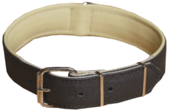 (7011) Before Ошейник 16мм 26-31см  фото, цены, купить