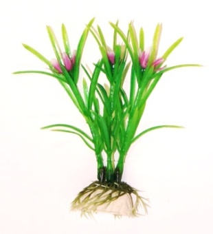 Эйхорния зелёная 10см фото, цены, купить