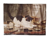 Матрас 45x32 см с валерианой Генриетта Рённер- Кошка в игре фото, цены, купить