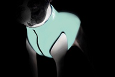 Collar AIRY VEST  LUMI  самые легкие куртки для собак, которые светятся в темноте.