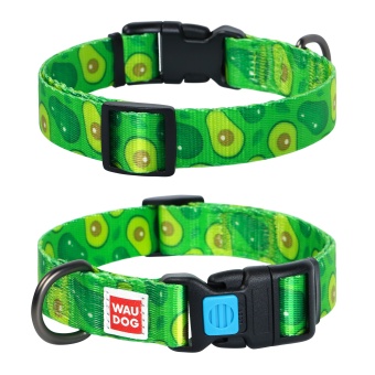 Ошейник Collar WAUDOG Авокадо 20мм 24-40см S нейлон фото, цены, купить