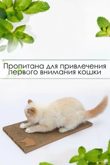 Когтеточка-лежанка "Зверьё Моё" Катя 59*25см для кошек