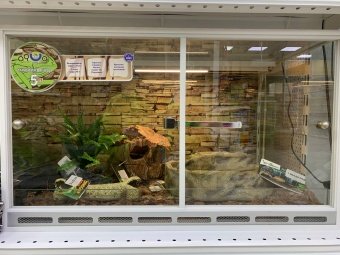 Аква Тоника Террариум "Змея" большой 60*40*35см фото, цены, купить