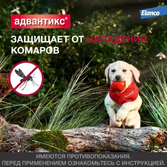 Адвантикс для собак (1 пипетка) до 4кг фото, цены, купить