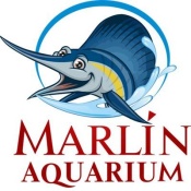 Marlin Aquarium ( Марлин Аквариум)
