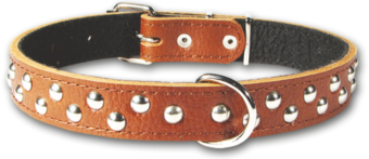 (1120) Before Ошейник 25мм украшенный фото, цены, купить