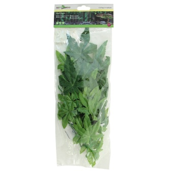 Растение "Абутилон" 400мм фото, цены, купить