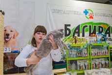 Фотоотчет с выставки кошек в г. Симферополе в декабре