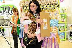 Фотоотчет с выставки кошек в г. Симферополе