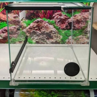 Аква Тоника Террариум "Эублефар"  45*35*35см фото, цены, купить