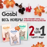  GOSBI - вторая упаковка в подарок