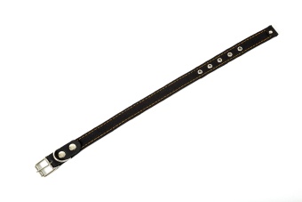 Брезент Ошейник 25мм одинарный Чёрный 53см фото, цены, купить