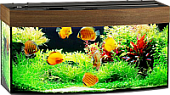 Бионикс аквариум овальный  с панорамным стеклом 140 темная вишня +2 лампы 25W 85см фото, цены, купить