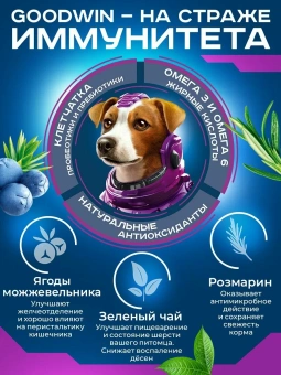 GOODWIN для взрослых собак мелких и миниатюрных пород с ягненком 1,5 кг фото GOODWIN для взрослых собак мелких и миниатюрных пород с ягненком 1,5 кг фото, цены, купить