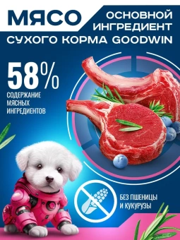 GOODWIN для щенков, беременных и кормящих мелких и миниатюрных пород с ягненком 400г фото GOODWIN для щенков, беременных и кормящих мелких и миниатюрных пород с ягненком 400г фото, цены, купить