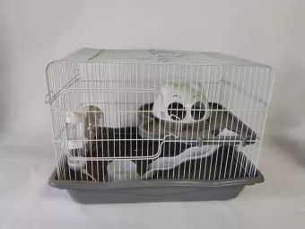 Клетка для грызунов 45*30*33см  фото, цены, купить