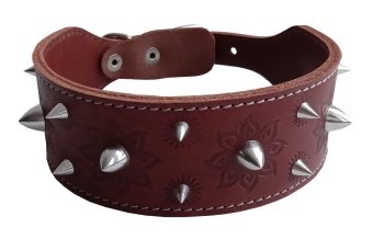 Ошейник 20мм натуральная кожа, двухслойный, тисненый широкий с шипами фото, цены, купить