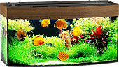 Аква Тоника ЛЮКС аквариум с панорамным стеклом -260л  120*40*60  фото, цены, купить