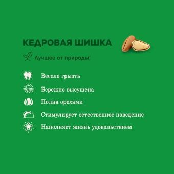 Little One Лакомство Кедровая Шишка для грызунов фото