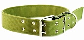 Брезент Ошейник 20мм двойной ъ фото, цены, купить