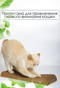 Когтеточка-лежанка "Зверьё Моё" Дюна 47*21*5см для кошек