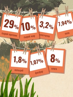 "Счастливый Кот"  Говядина для стерилизованных кошек 10кг фото, цены, купить