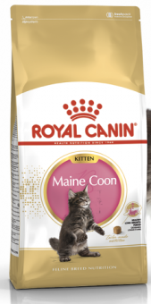 Royal Canin Maine Coon Kitten фото, цены, купить