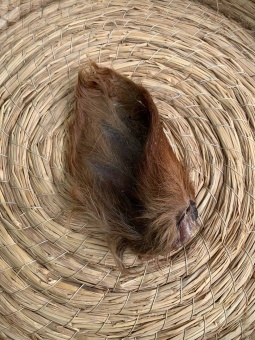 Лакомства AKARA BAR Уши говяжьи 500г фото, цены, купить