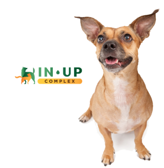 ИН-АП комплекс для собак весом до 10кг  фото, цены, купить