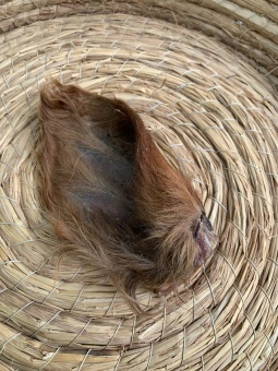 Лакомства AKARA BAR Уши говяжьи 500г фото, цены, купить