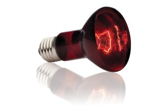 Лампа инфракрасная Infrared Basking Spot  75 Вт. PT2142 фото, цены, купить