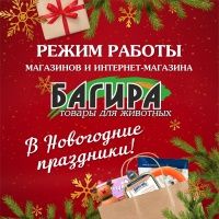 График работы интернет-магазина и магазинов в праздничные дни 2022/2023г