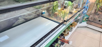 Аква Тоника Террариум Агама 80*45*40см фото, цены, купить