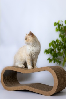 Когтеточка-лежанка "Зверьё Моё" Восьмёрка средняя 53*21*16см  для кошек