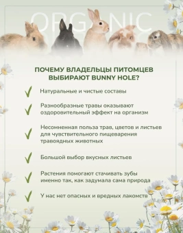 Bunny Hole Цветы Ромашки 100г  фото, цены, купить