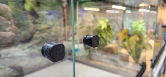 Аква Тоника Террариум Агама 80*45*40см фото, цены, купить