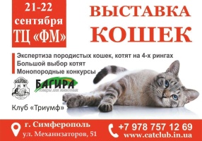 Выставка кошек в Симферополе в ТЦ FM в сенятябре