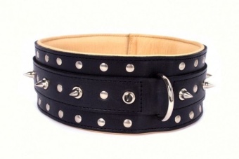 Ошейник Collar  "Rocky" Двойной ШИП 25мм 38-50см M  фото, цены, купить