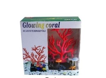 Светящийся коралл, красный 16,5*16,5см фото, цены, купить