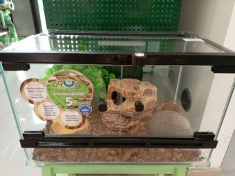 Аква Тоника Террариум "Змея" малый 40*25*25см фото, цены, купить