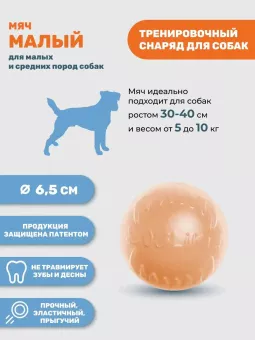 Мяч DogLike 6см , малый, бежевый фото, цены, купить