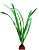 V Шелковое растение "Погостемон хелфера" 30см фото, цены, купить