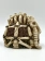 Грот "Жилище первобытного человека" 16,5*14*14см  (WP111) фото, цены, купить