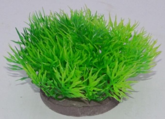 Искусственное растение (YS-73612) фото, цены, купить