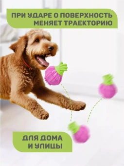 Игрушка для собак "Лук" FOFOS Giggling Vegi-Bites фото, цены, купить