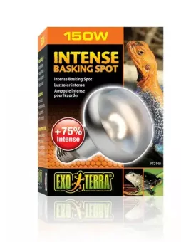 Лампа для баскинга Intense basking spot 150 Вт 95mm. PT2140 фото, цены, купить