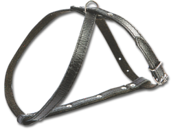 (4010) Before Шлея 12мм мелкие породы (восьмерка) фото, цены, купить