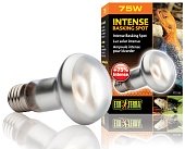 Лампа для баскинга Intense basking spot  75 Вт. 63mm. PT2136 фото, цены, купить